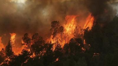 Wildfires in Stanislaus National Forest