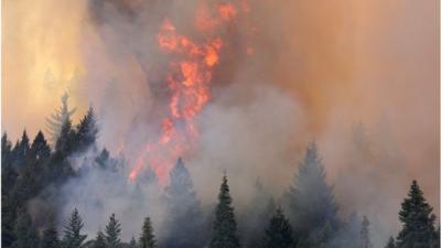 Fire near Yosemite National Park