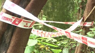 Police tape on trees