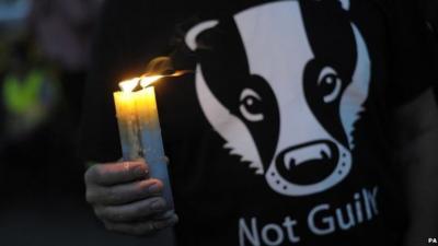 Person holding candle and wearing a badger 'not guilty' T-shirt