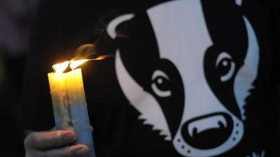 Person holding candle and wearing a badger 'not guilty' T-shirt