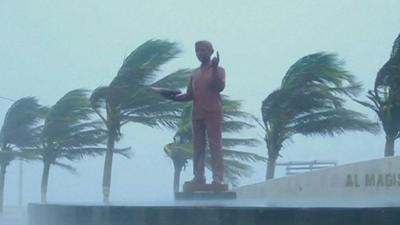 Statue and trees battered by wind and rain