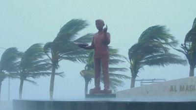 Statue and trees battered by wind and rain