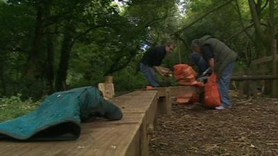 People working in woods