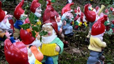 Gnomes in a reserve