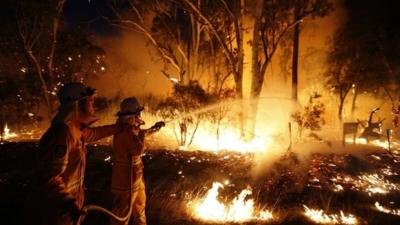 Firefighters attempt to extinguish a bushfire at the Windsor Downs Nature Reserve near Sydney