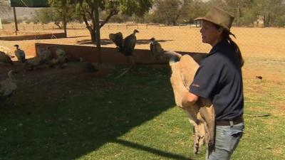 Kerri Wolter with vulture