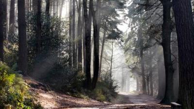 Lickey Hills Country Park