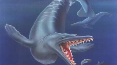 Artist's impression of what one of the sea mammals looked like