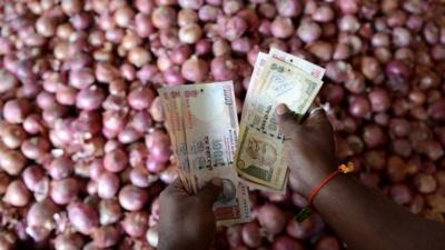 Onion trader counts money