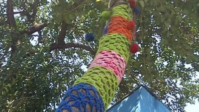 Knitted tree in Sao Paulo, Brazil