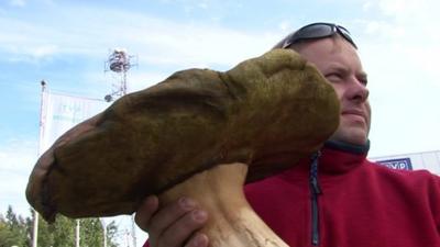 Man with huge mushroom