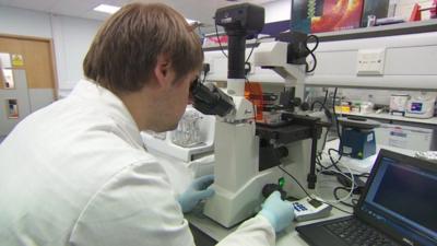 Man looking through a microscope