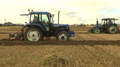 Tractors pulling ploughs