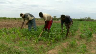 Farmers working on dry land