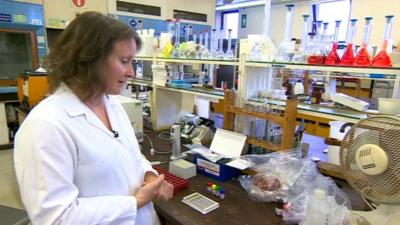 Scientist Phillipa Wood at food testing laboratory