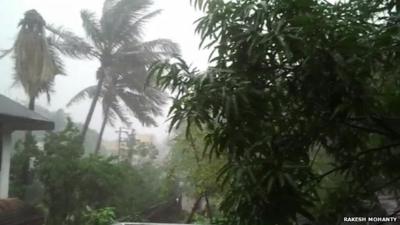 Trees blown about by storm force winds