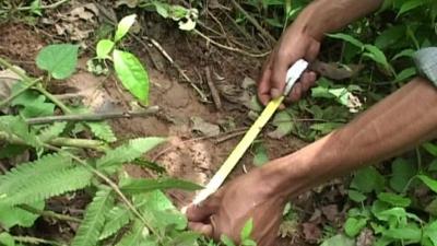 Alleged Yeti footprint measured