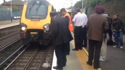 Swan on railway line