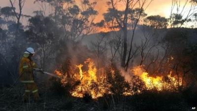 A New South Wales Rural Fire Service volunteer puts out a fire in the town of Bell, Australia, on 20 October 2013