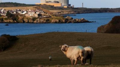 Wylfa