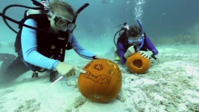 Scuba divers carving pumpkins