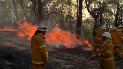 Firefighters "back-burning" in New South Wales