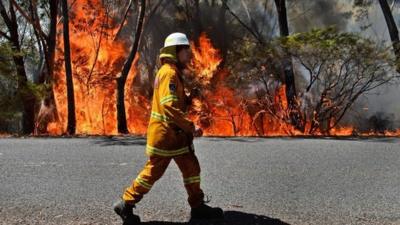 A firefighter monitors a back burn