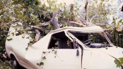 Aftermath of the Great Storm of 1987