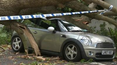 Car hit by tree