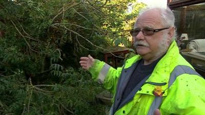 Dennis Walters, who woke up to find a tree had crashed into his kitchen