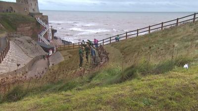 Bulb planters in Sidmouth