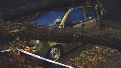 a car crushed by a falling tree in Salisbury