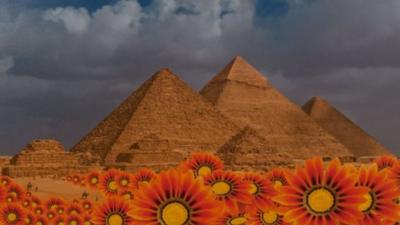 Egyptian pyramids with orange flowers in the foreground