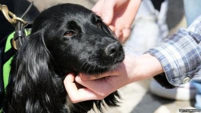 Police dog