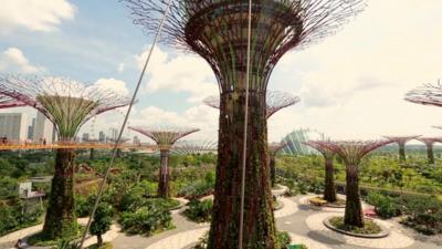 'Trees' in Gardens by the Bay
