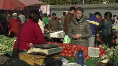 Celia Hatton in Chinese market