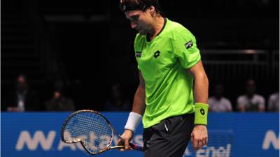 David Ferrer