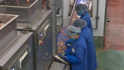 Workers on a food production line in Brecon, Powys