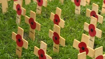 Remembrance poppies