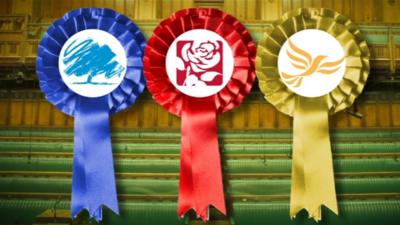 Party rosettes