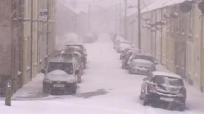 Snow covered cars