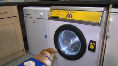 Dog opening washing machine