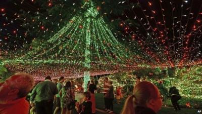 Canopy of Christmas lights