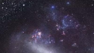 The Large Magellanic Cloud