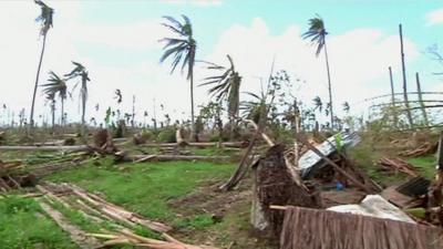 A coconut plantation lying in ruin