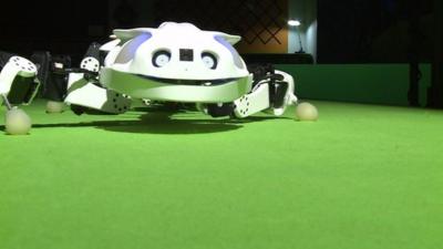 The 'Pleurobot' robot by Swiss-based researchers