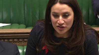 Shadow public health minister Luciana Berger