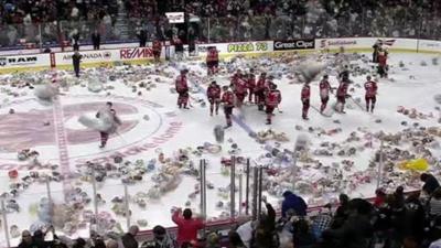 Ice rink covered in teddy bears