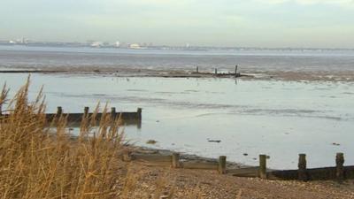 Thames estuary